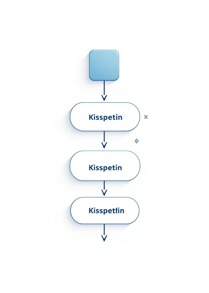 Institutional waveform diagram of pulsatile LH secretion driven by kisspeptin input, rendered as a single Coinbase Blue stroke on white